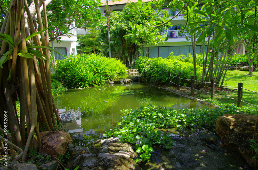Garden Garden