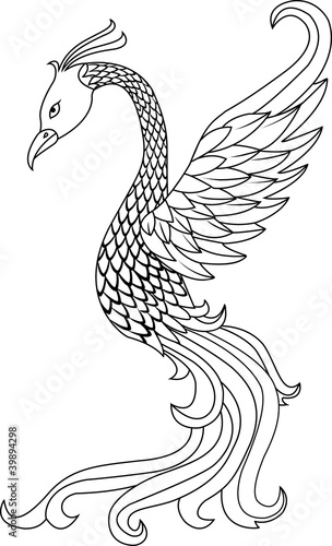 Phoenix bird tattoo