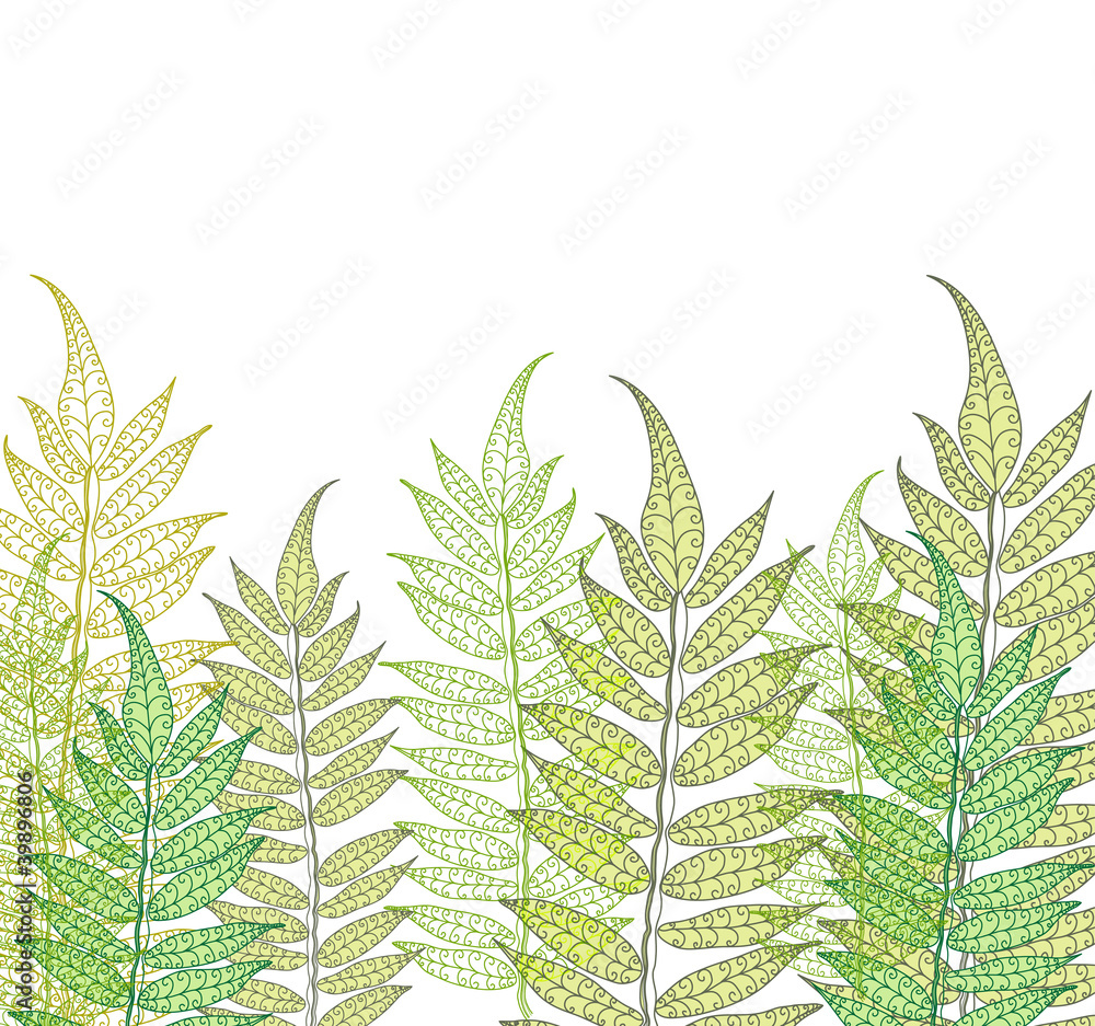 Card with fern Card with fern