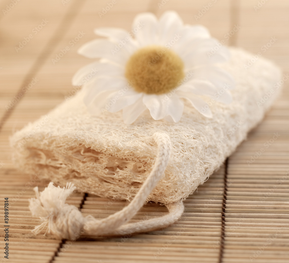 marguerite sur éponge luffa végétale marguerite sur éponge luffa végétale