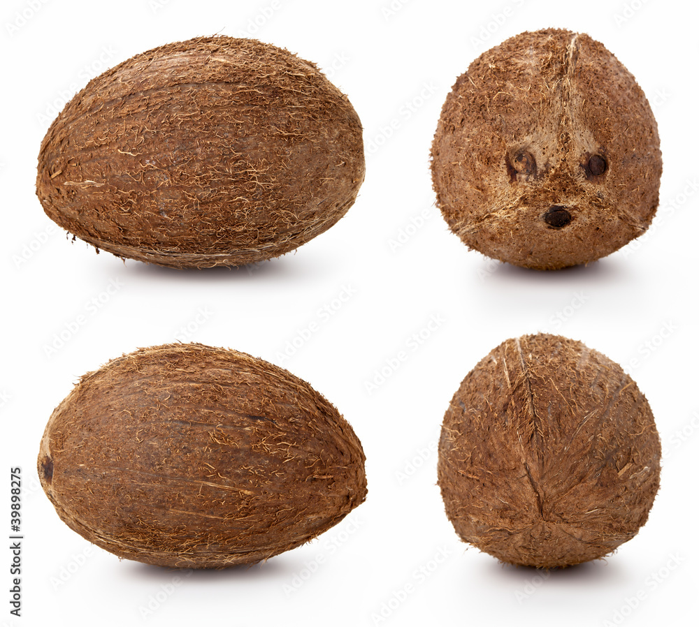 Coconut Coconut