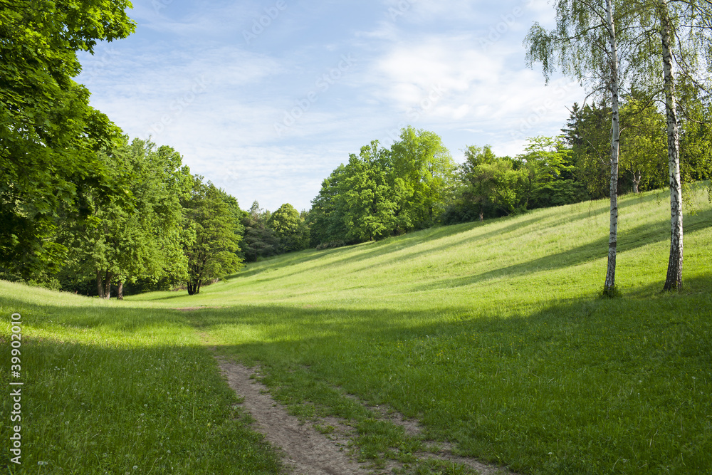 Green glade