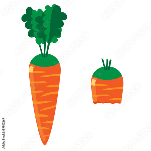Carrot