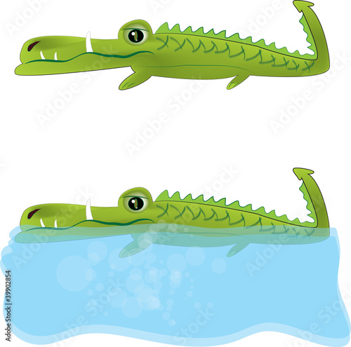 Crocodile