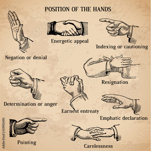 Set of vintage hands - Various Positions in vector - High Qualit