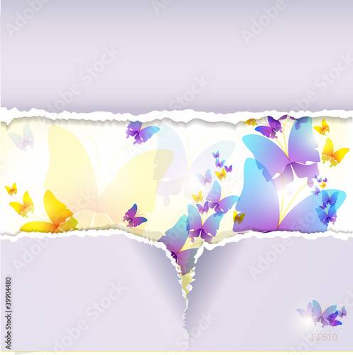 Fototapeta Colorful butterfly background. Torn paper