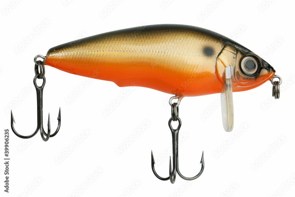 Lure for catching predatory fish Lure for catching predatory fish