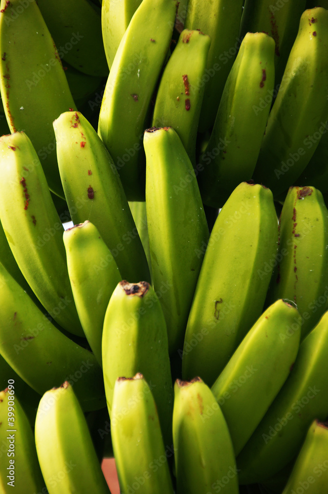 A close-up image of fresh and green bananas