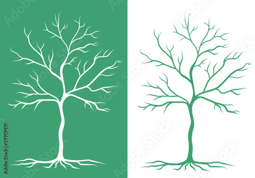 two silhouettes of trees