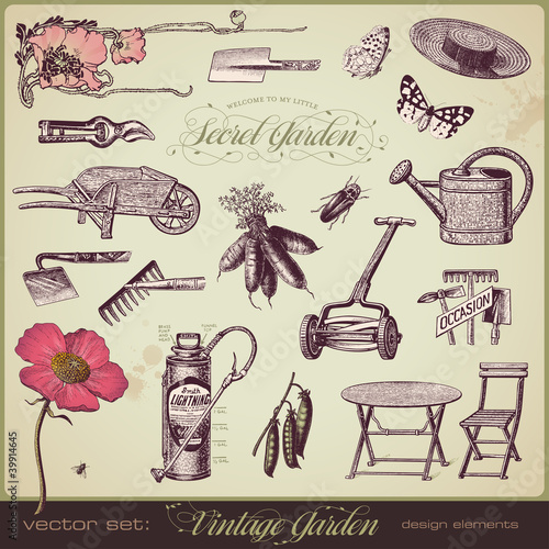 vector set: vintage garden design elements