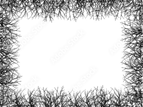 Black border of naked branches on white background