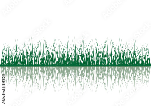 Gras Spiegelung