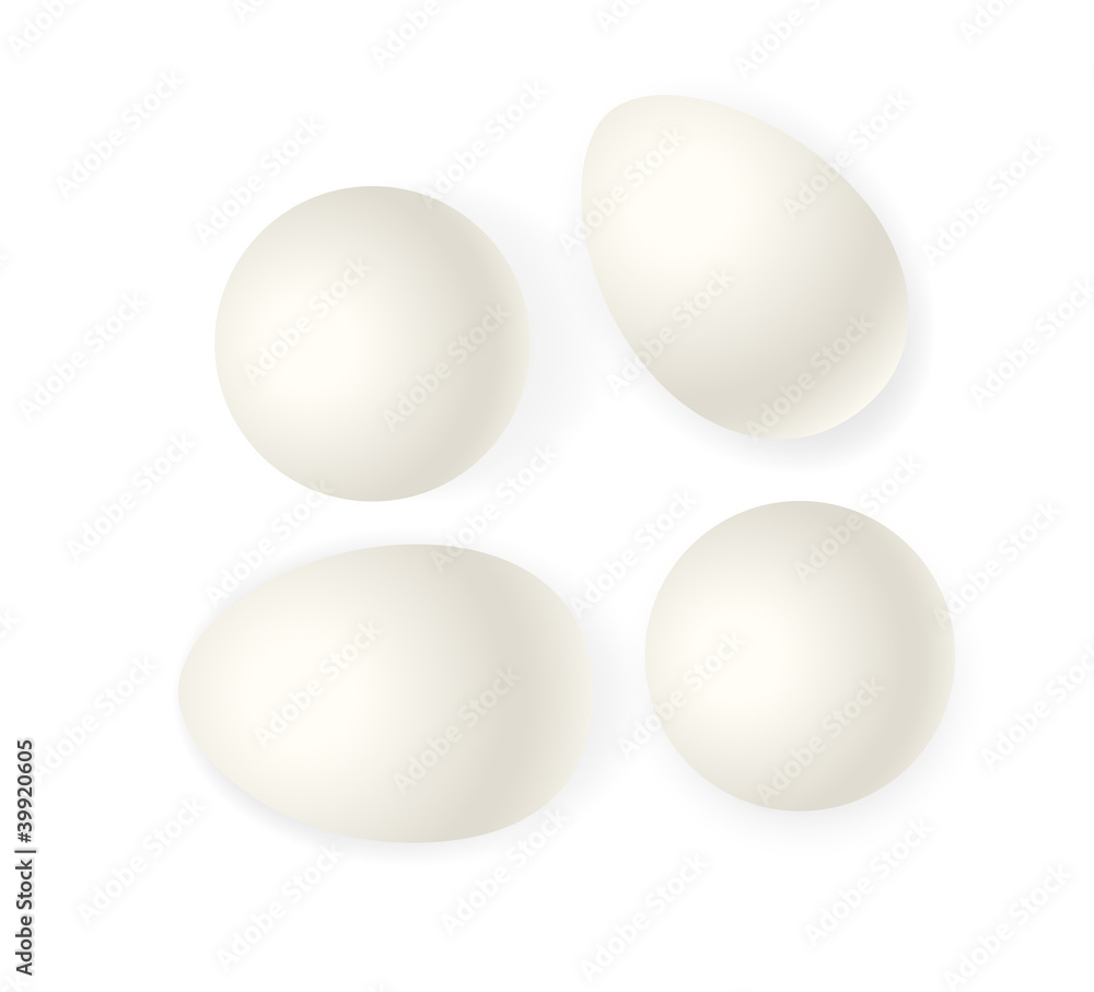 White Vector Eggs White Vector Eggs