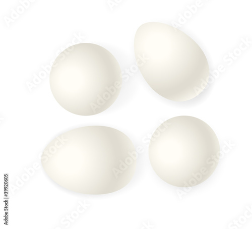 White Vector Eggs