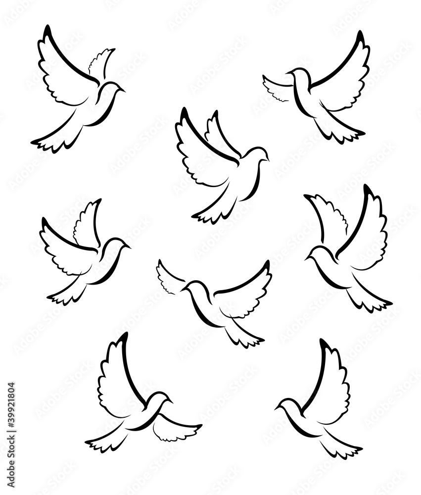 Dove Symbol Dove Symbol