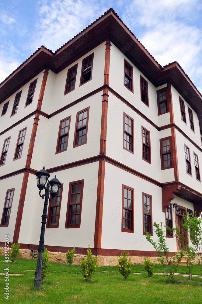 Fototapeta premium house and its garden under blue sky