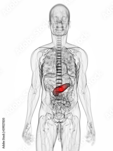3d rendered scientific illustration of a pancreas tumor photo