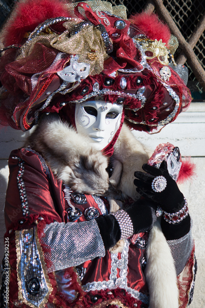 Obraz premium carnevale venezia