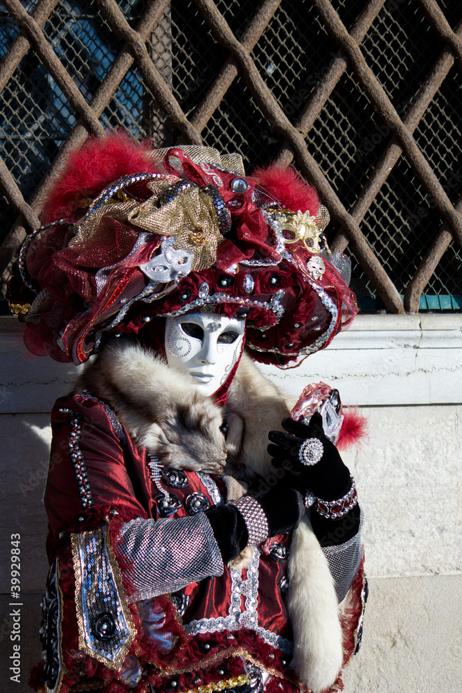 Obraz premium carnevale venezia
