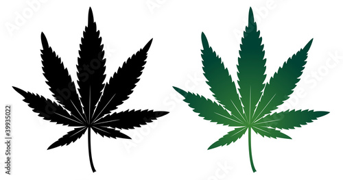 Cannabis leaf