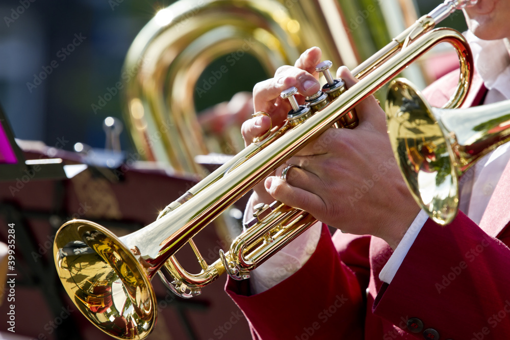 Obraz premium Trumpet player