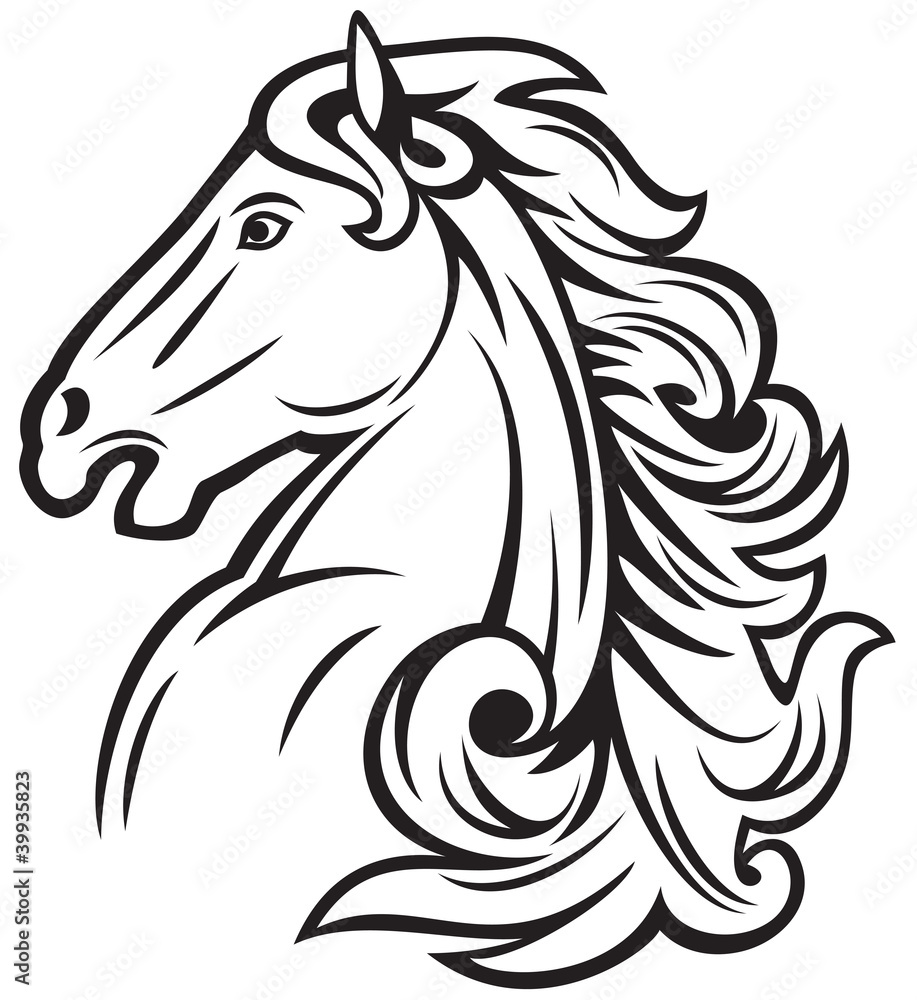 horse head (mustang head, beautiful horse) horse head (mustang head, beautiful horse)