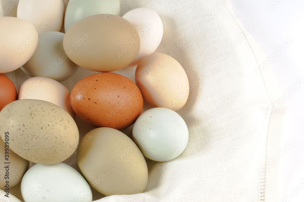 Multi colored chicken eggs Multi colored chicken eggs