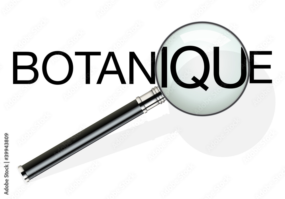 Loupe_botanique