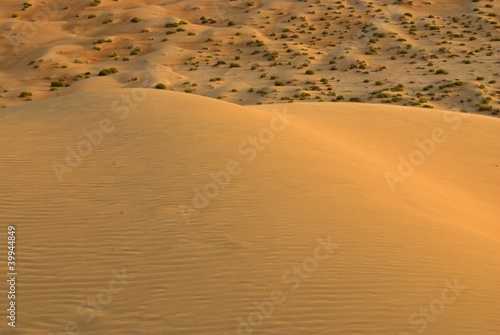 Dunes in Abu dhabi