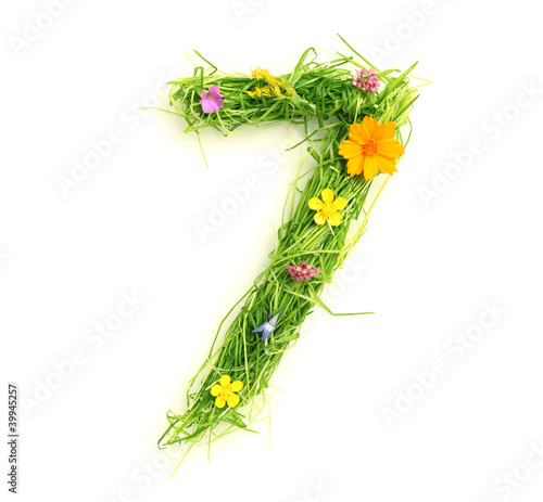 Numbers made of flowers and grass