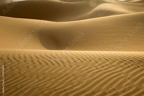 Dunes in Abu dhabi © forcdan