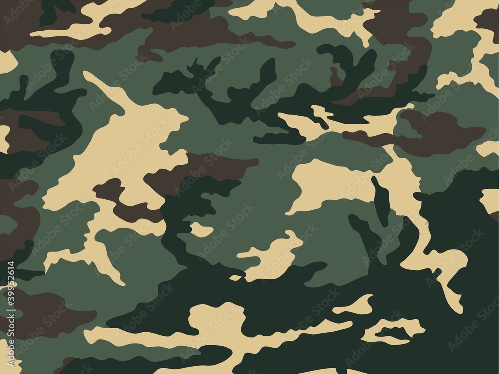 Fototapeta premium Camouflage Muster