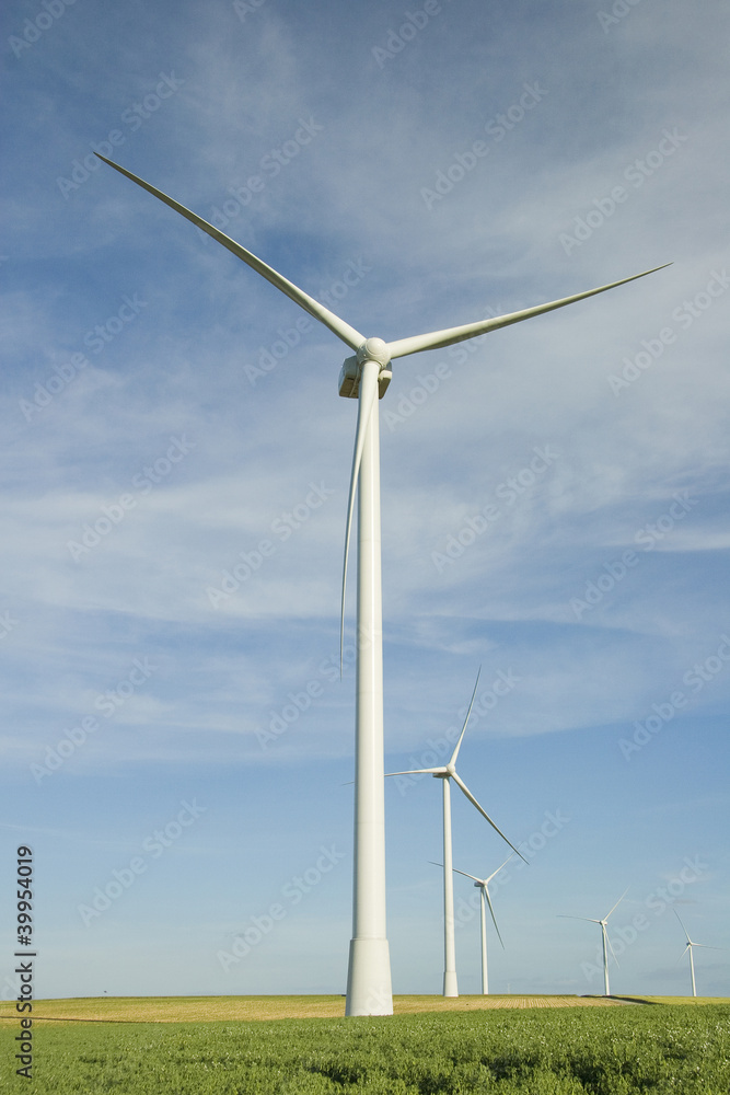 Wind Turbines at the Field Wind Turbines at the Field