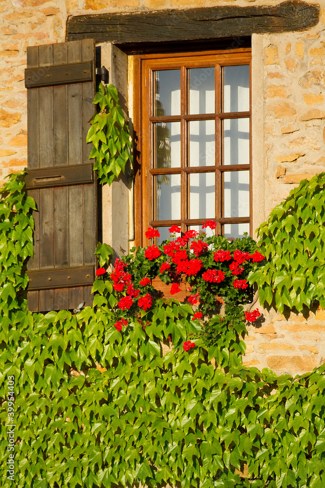 Beautiful window in  France .