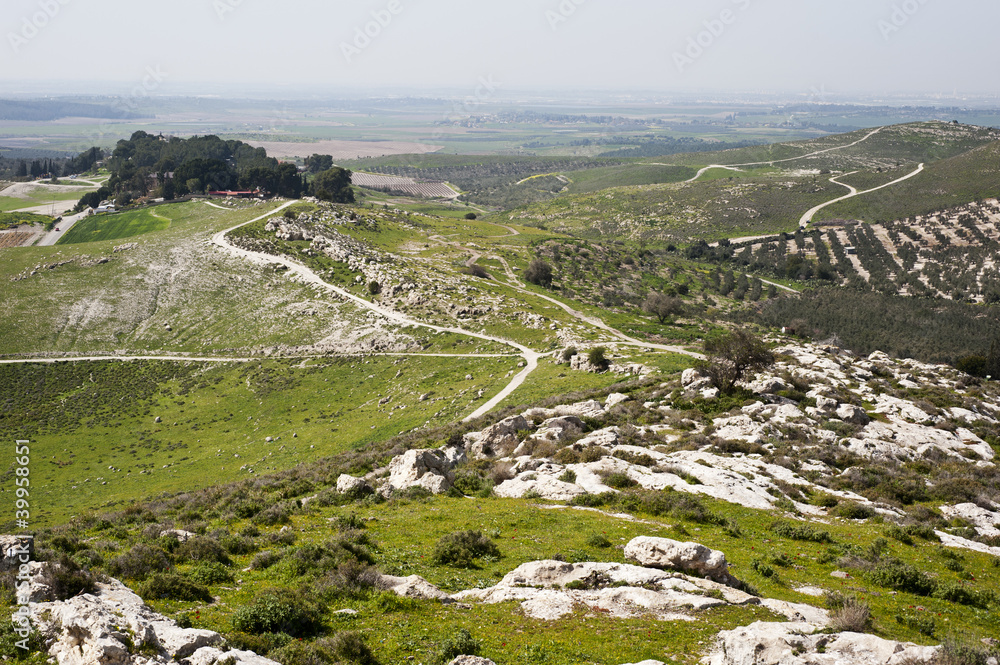 Spring in Beit Shemesh.Israel