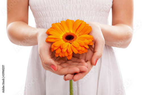 Woman holding an orange gerbera
