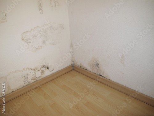 Feuchte Wandecke