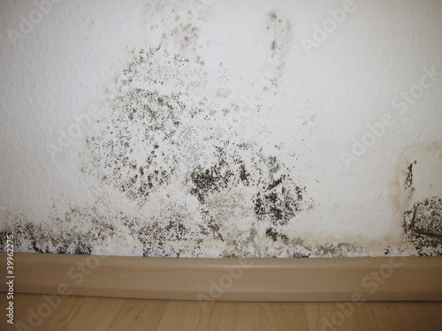Quadro su tela Schimmel an einer Außenwand