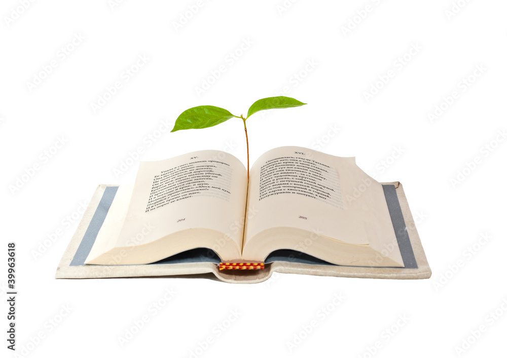 an open book an open book