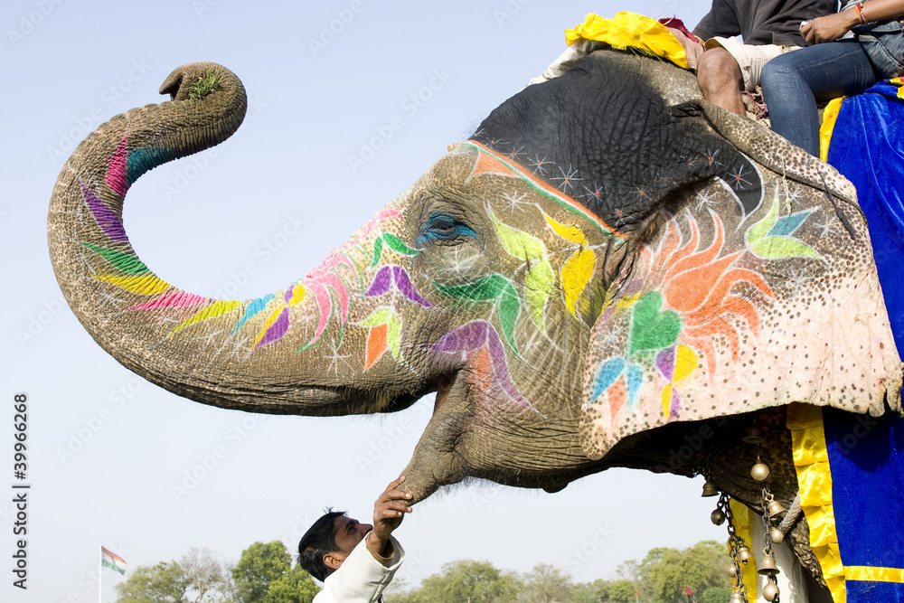 Painted Elephant Festival