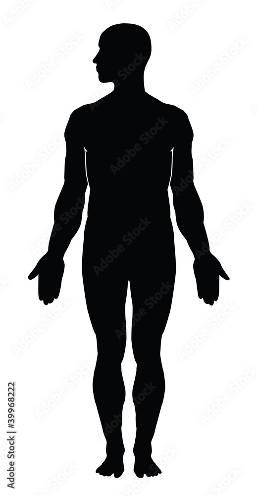 Vettoriale Stock Human body silhouette | Adobe Stock