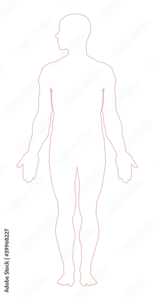Human body outline. Vectorillustration Stock Vector