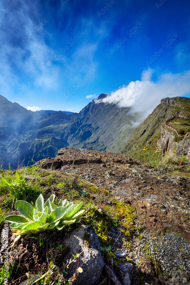 Obraz premium Belvédère du Maïdo - Ile de La Réunion