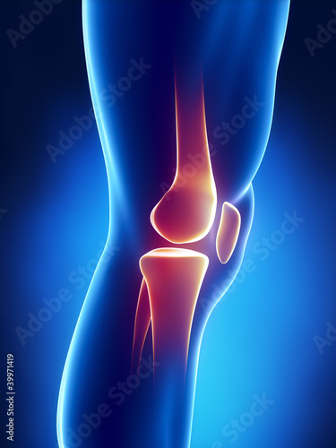 Human knee detailed view