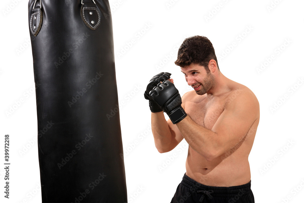 boxer workout