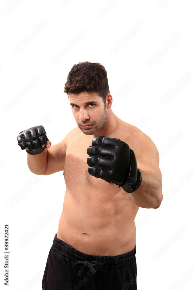 boxer workout boxer workout
