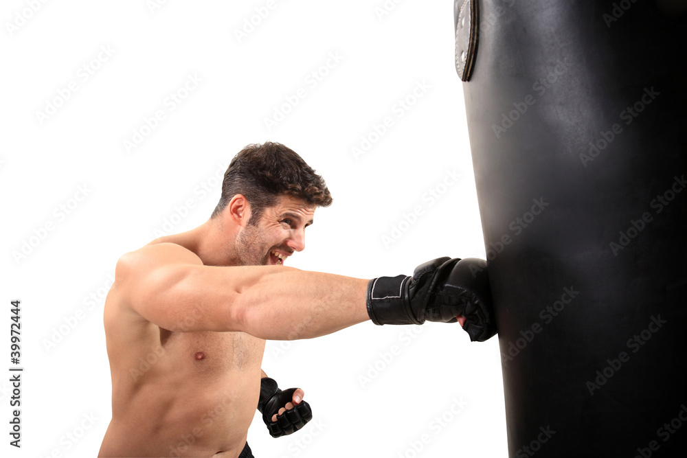 boxer workout