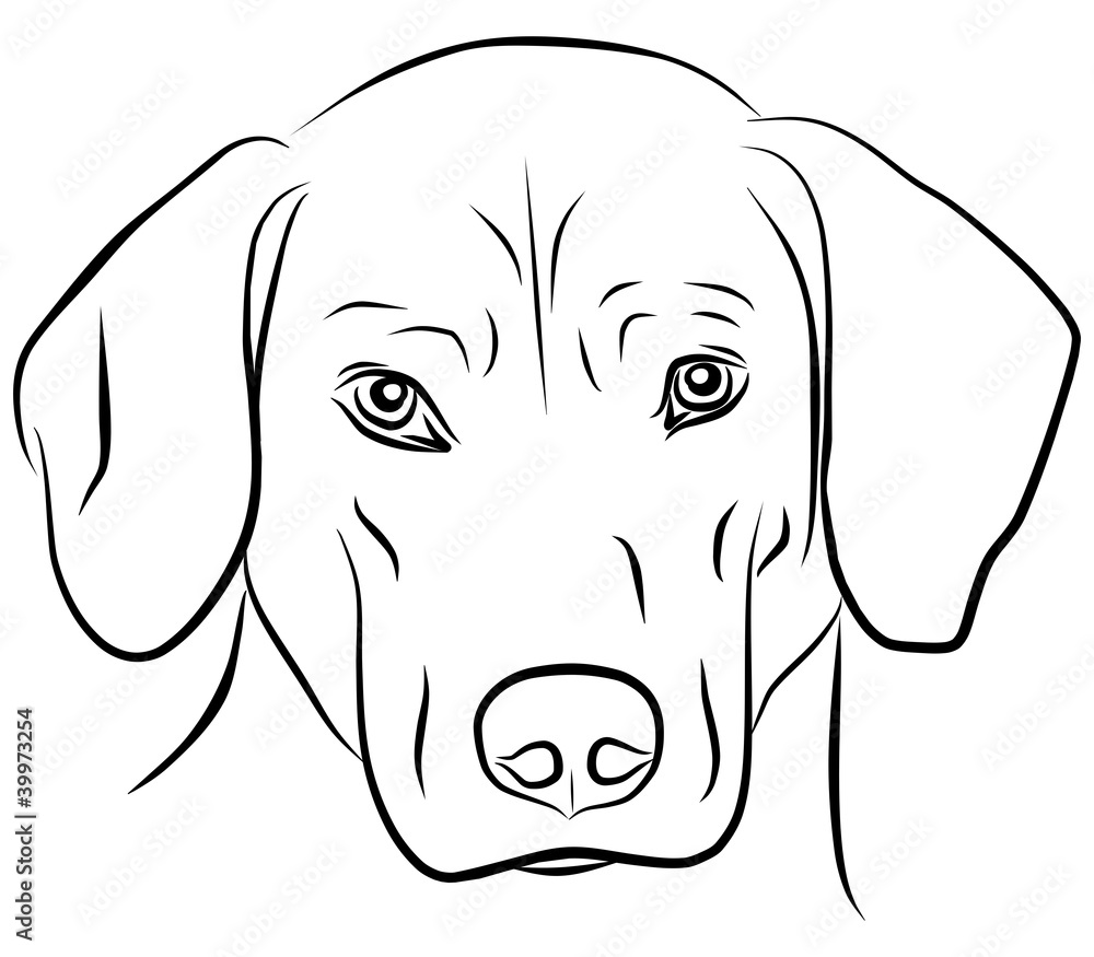 Fototapeta premium dog isolated - freehand, vector illustration