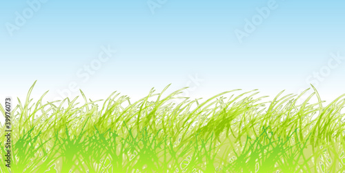 Ostern - Ostergras - Wiese - Frühling, vektor isoliert