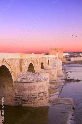 Roman Bridge and Tower of Calahorra. Cordova